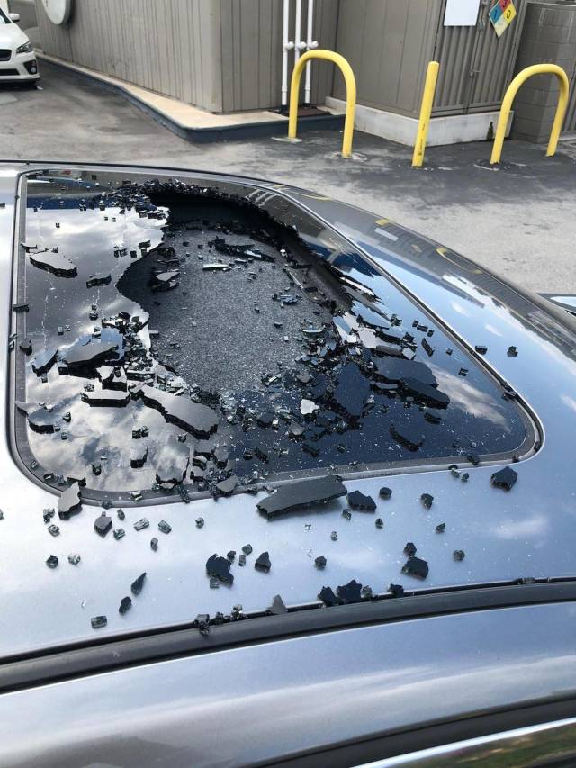 daily picdump 94 pics 4.html - 94 HD Photos | Premium Gallery 2018