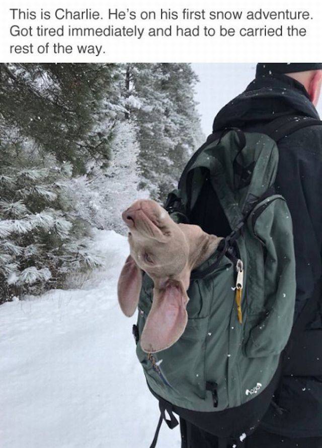 daily picdump 94 pics 4.html - 94 HD Photos | Premium Gallery 2018