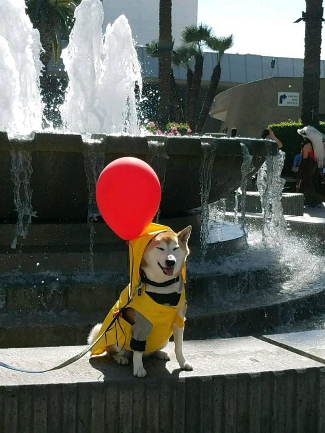 daily picdump 94 pics 4.html - 94 HD Photos | Premium Gallery 2018