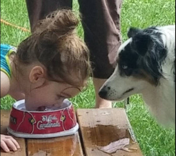 morning picdump 50 pics 12.html - 50 HD Photos | Premium Gallery 2018