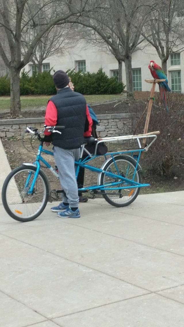 morning picdump 50 pics 12.html - 50 HD Photos | Premium Gallery 2018