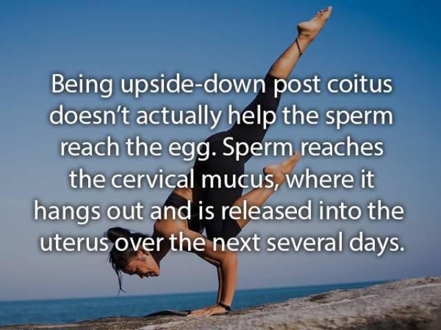 These Sex Myths Are Just NOT TRUE!