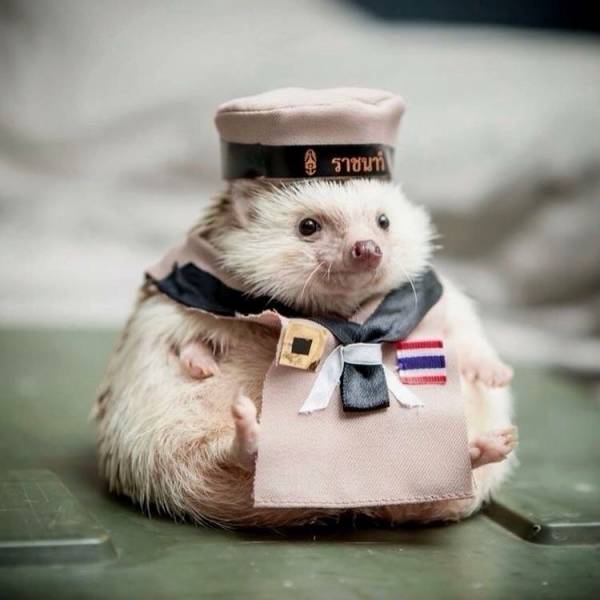 daily picdump 98 pics 30.html - 98 HD Photos | Premium Gallery 2018