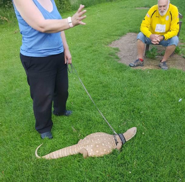 daily picdump 98 pics 30.html - 98 HD Photos | Premium Gallery 2018