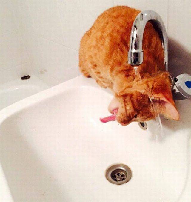 Daily Picdump