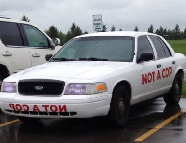 morning picdump 52 pics 5.html - 52 HD Photos | Premium Gallery 2018