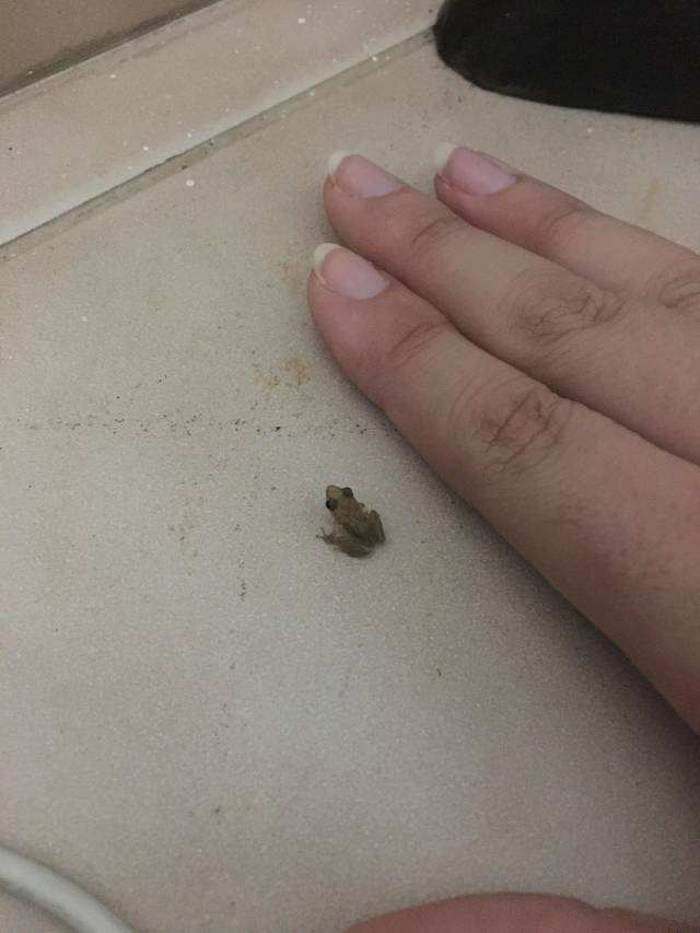 morning picdump 52 pics 5.html - 52 HD Photos | Premium Gallery 2018