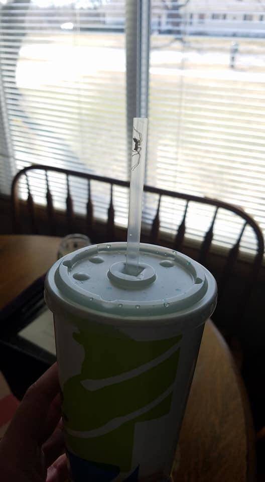 morning picdump 52 pics 5.html - 52 HD Photos | Premium Gallery 2018