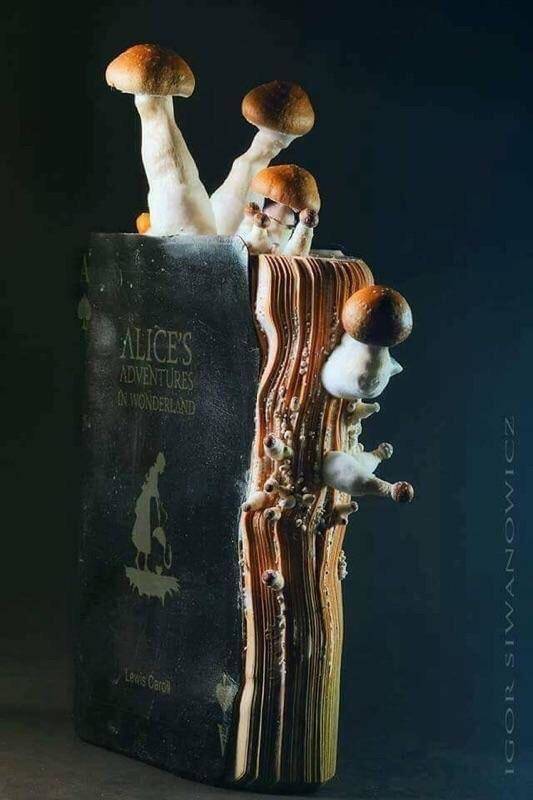 morning picdump 52 pics 5.html - 52 HD Photos | Premium Gallery 2018