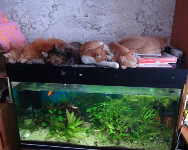 Daily Picdump