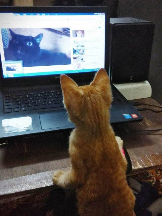 Daily Picdump