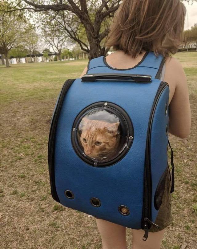 daily picdump 104 pics 20.html - 104 HD Photos | Premium Gallery 2018