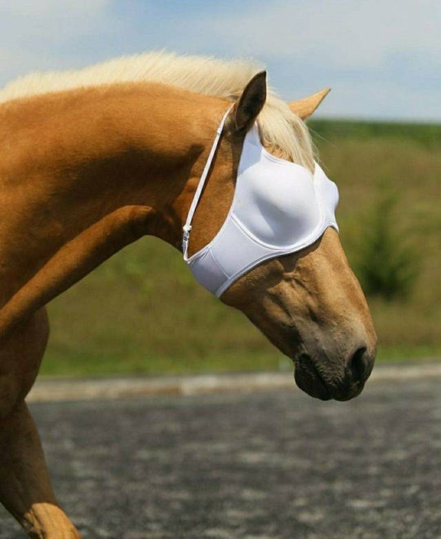 daily picdump 104 pics 20.html - 104 HD Photos | Premium Gallery 2018