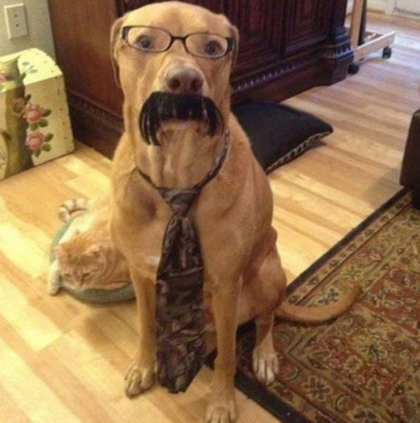 morning picdump 50 pics 45.html - 50 HD Photos | Premium Gallery 2018