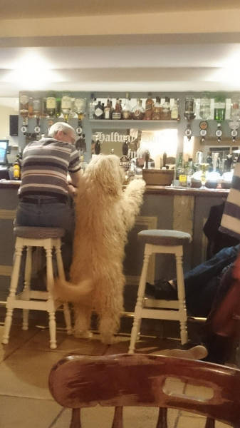 morning picdump 50 pics 45.html - 50 HD Photos | Premium Gallery 2018