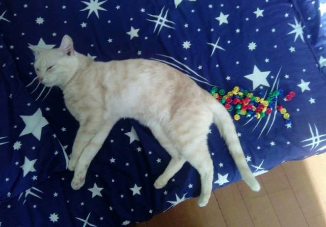 daily picdump 96 pics 33.html - 96 HD Photos | Premium Gallery 2018