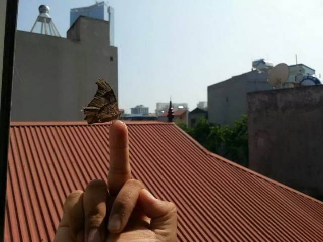 daily picdump 96 pics 33.html - 96 HD Photos | Premium Gallery 2018