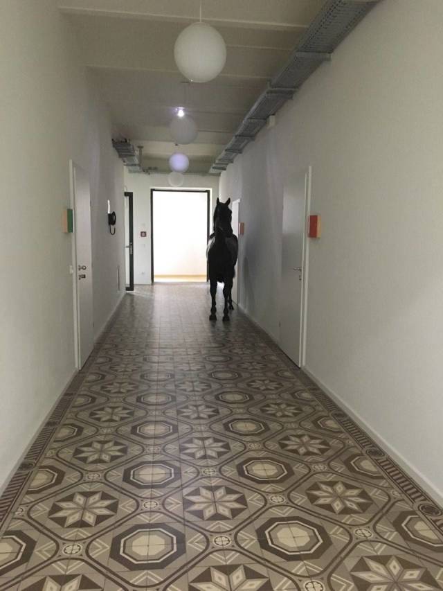 daily picdump 96 pics 33.html - 96 HD Photos | Premium Gallery 2018