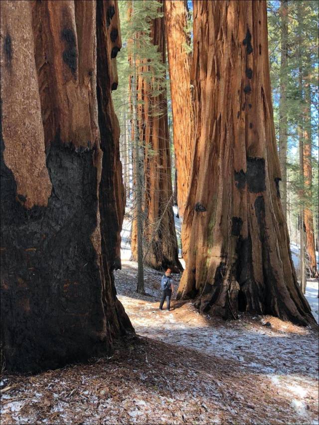 daily picdump 96 pics 33.html - 96 HD Photos | Premium Gallery 2018