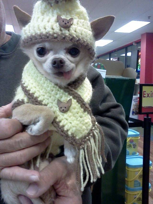 daily picdump 96 pics 33.html - 96 HD Photos | Premium Gallery 2018