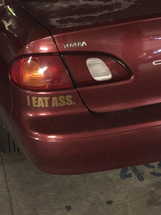 daily picdump 96 pics 33.html - 96 HD Photos | Premium Gallery 2018