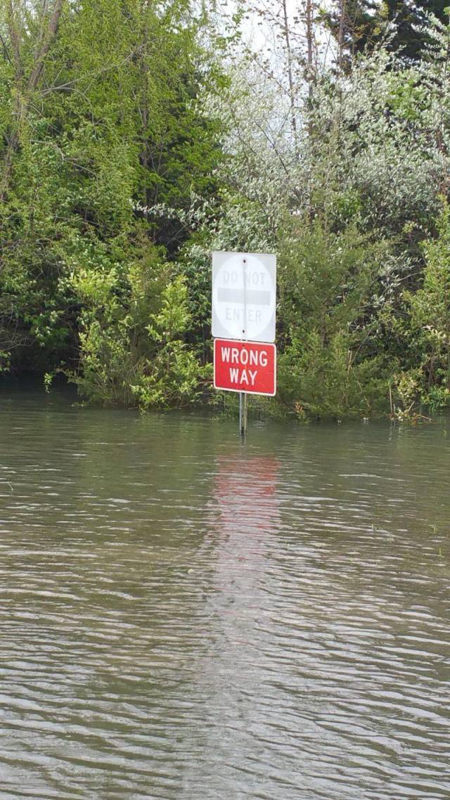 daily picdump 96 pics 33.html - 96 HD Photos | Premium Gallery 2018