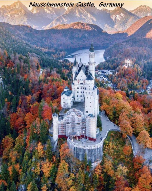 daily picdump 96 pics 33.html - 96 HD Photos | Premium Gallery 2018