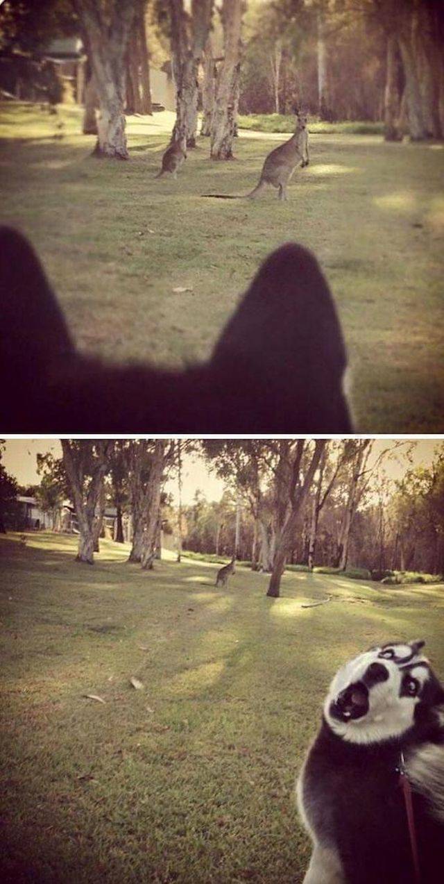 daily picdump 96 pics 33.html - 96 HD Photos | Premium Gallery 2018