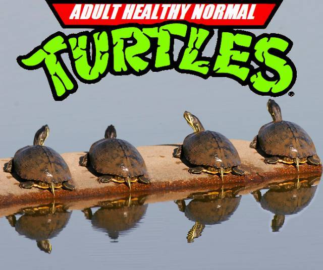 funny picdump 52 pics 3.html - 52 HD Photos | Premium Gallery 2018