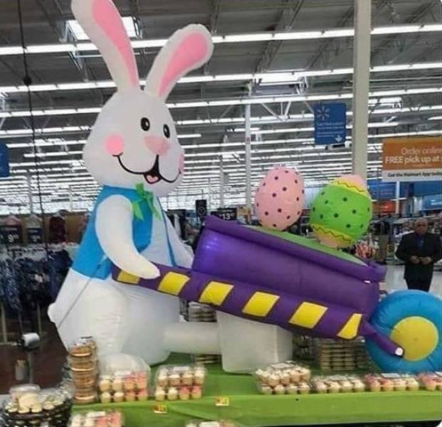 funny picdump 52 pics 3.html - 52 HD Photos | Premium Gallery 2018