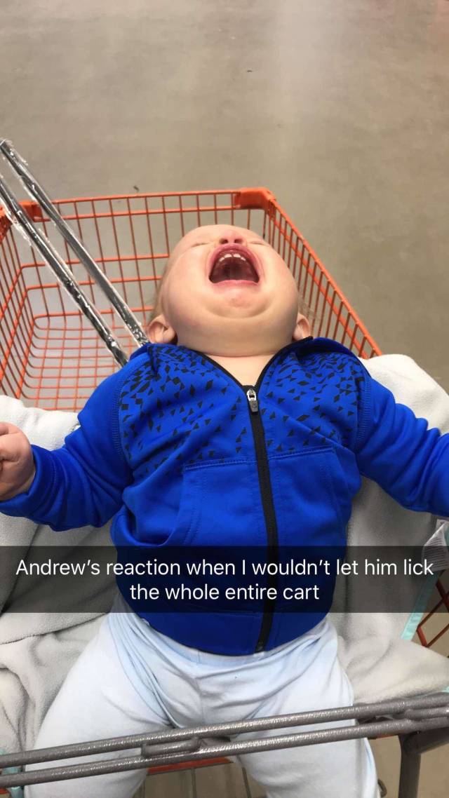 funny picdump 52 pics 3.html - 52 HD Photos | Premium Gallery 2018