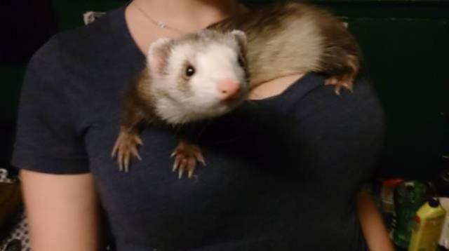 Boobs Are Indeed Almighty!