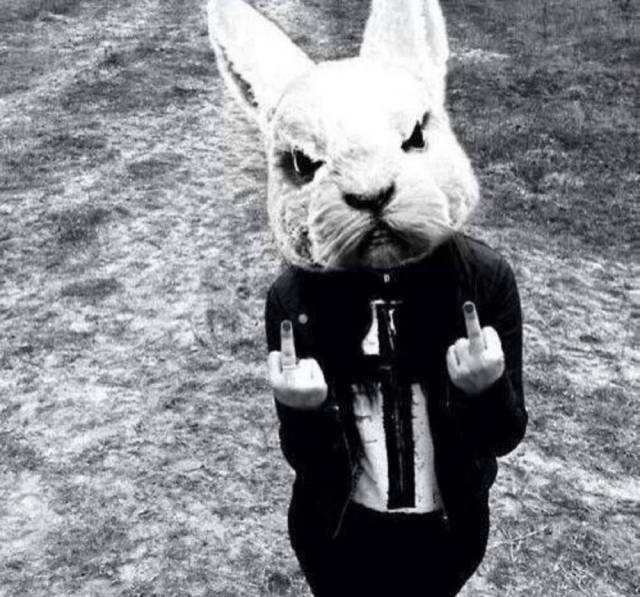 daily picdump 101 pics 41.html - 101 HD Photos | Premium Gallery 2018