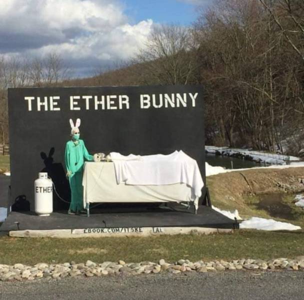 daily picdump 101 pics 41.html - 101 HD Photos | Premium Gallery 2018