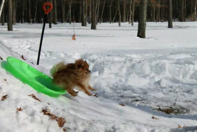 daily picdump 101 pics 41.html - 101 HD Photos | Premium Gallery 2018