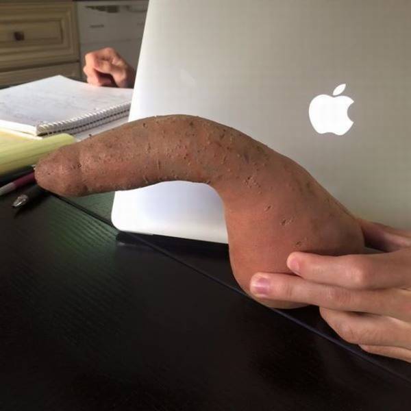 daily picdump 101 pics 41.html - 101 HD Photos | Premium Gallery 2018