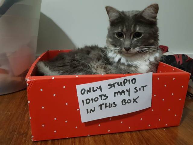 daily picdump 101 pics 41.html - 101 HD Photos | Premium Gallery 2018