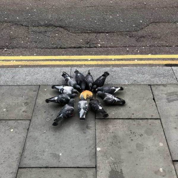 daily picdump 101 pics 41.html - 101 HD Photos | Premium Gallery 2018