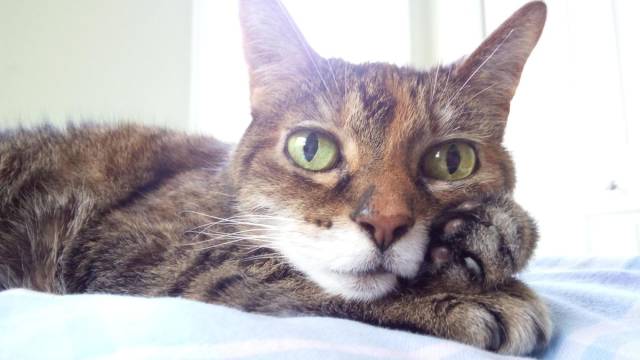 daily picdump 101 pics 41.html - 101 HD Photos | Premium Gallery 2018