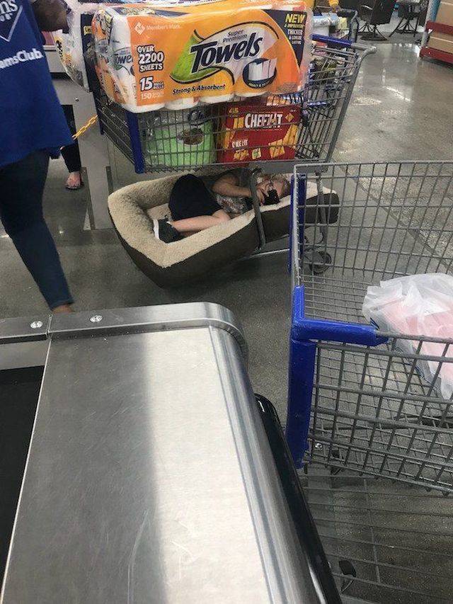 daily picdump 101 pics 41.html - 101 HD Photos | Premium Gallery 2018