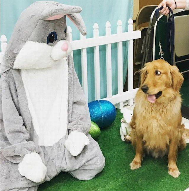 daily picdump 101 pics 41.html - 101 HD Photos | Premium Gallery 2018