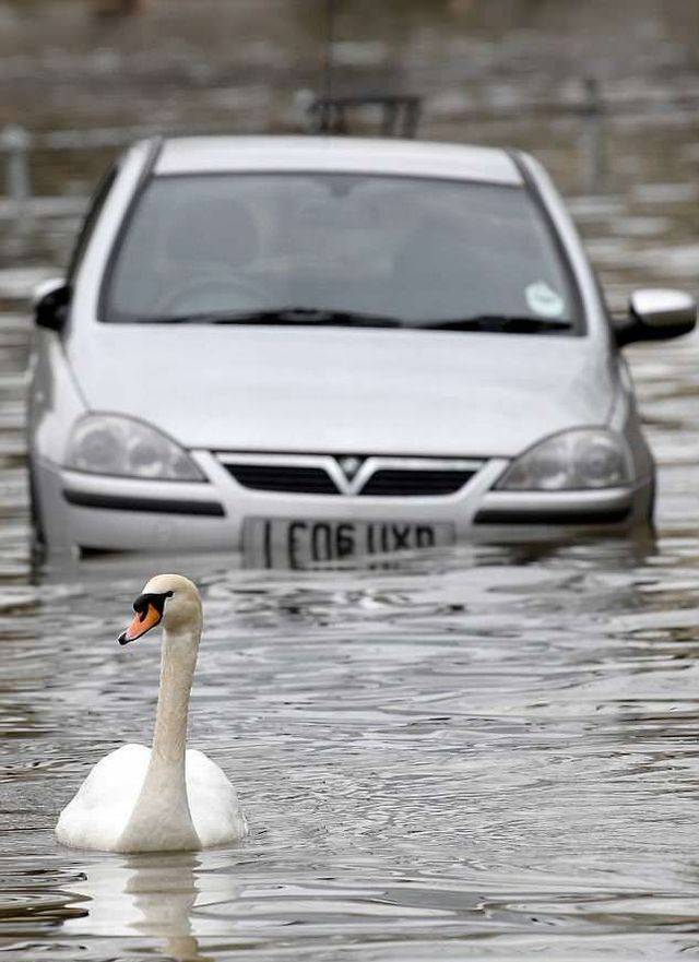 daily picdump 101 pics 41.html - 101 HD Photos | Premium Gallery 2018