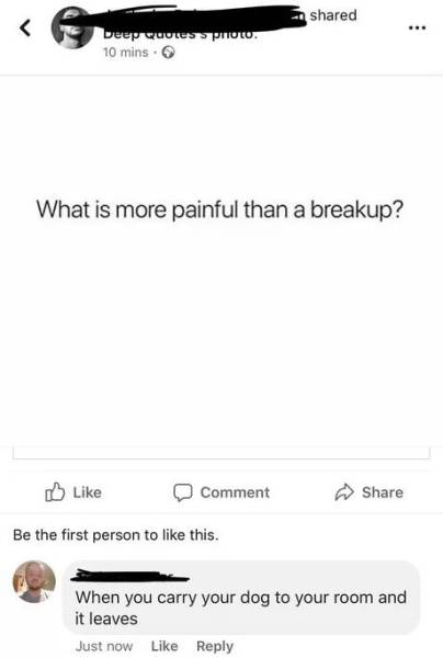 funny picdump 52 pics 17.html - 52 HD Photos | Premium Gallery 2018