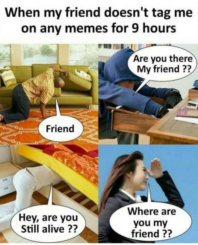 funny picdump 52 pics 17.html - 52 HD Photos | Premium Gallery 2018