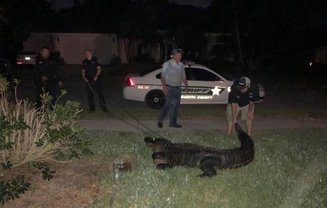 daily picdump 101 pics 7.html - 101 HD Photos | Premium Gallery 2018