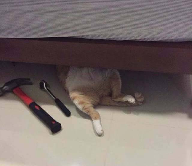 daily picdump 101 pics 7.html - 101 HD Photos | Premium Gallery 2018