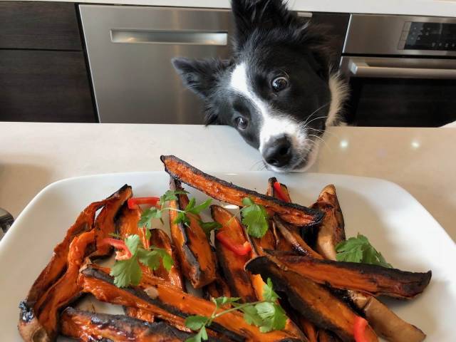 daily picdump 101 pics 7.html - 101 HD Photos | Premium Gallery 2018