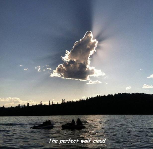 daily picdump 101 pics 7.html - 101 HD Photos | Premium Gallery 2018