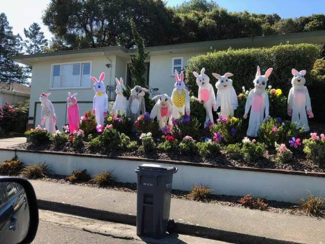 daily picdump 101 pics 7.html - 101 HD Photos | Premium Gallery 2018