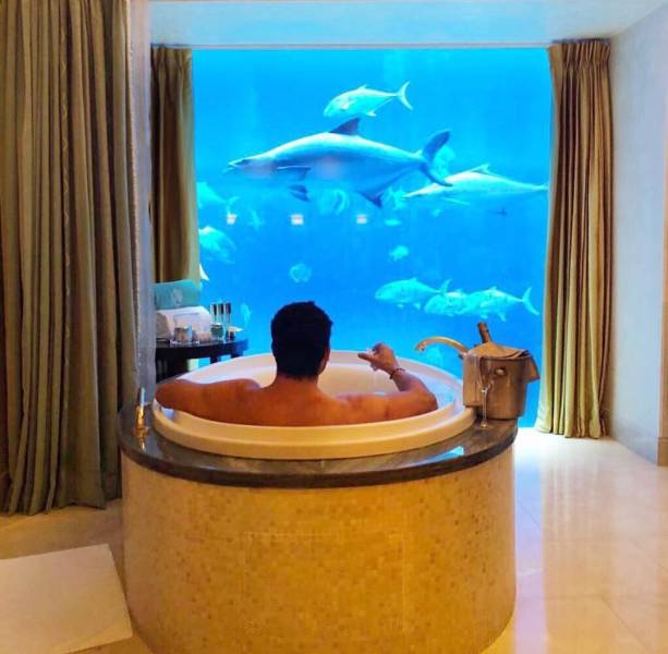 daily picdump 101 pics 7.html - 101 HD Photos | Premium Gallery 2018